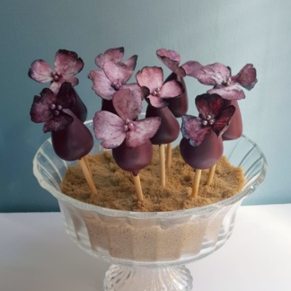 Cakepops, gedecoreerd