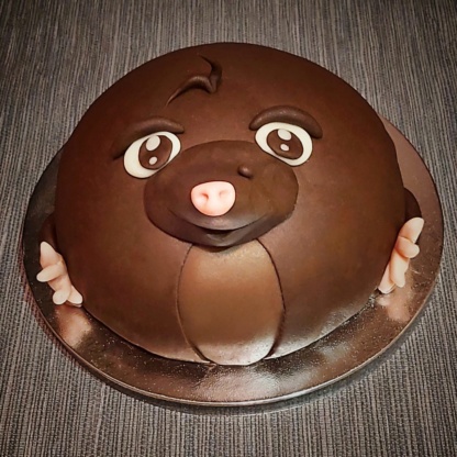 Wie is de Moltaart - Afbeelding 3